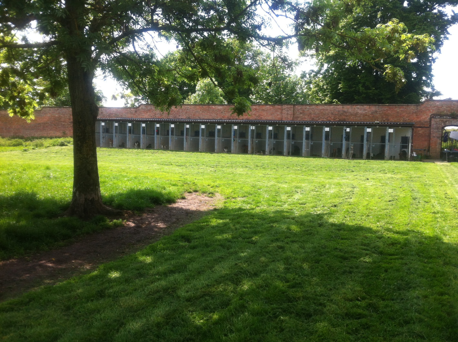 empire state k9 training